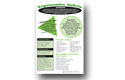 Ergonomics Poster
